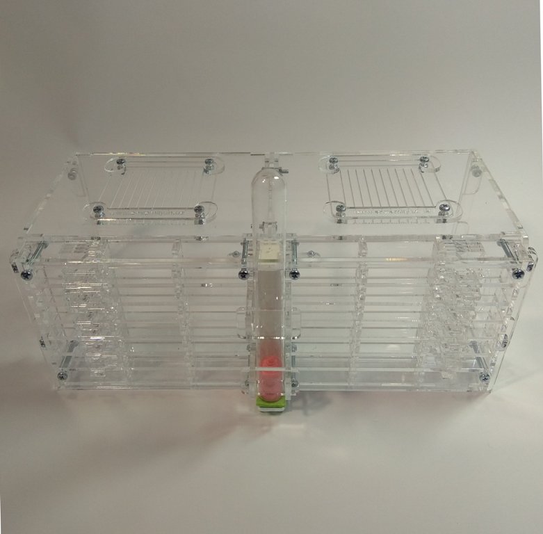 Муравьиная ферма на две колонии 2хLorry