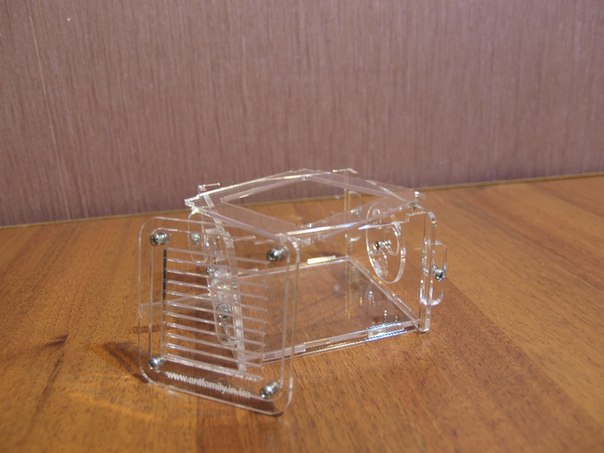 Арена сотка