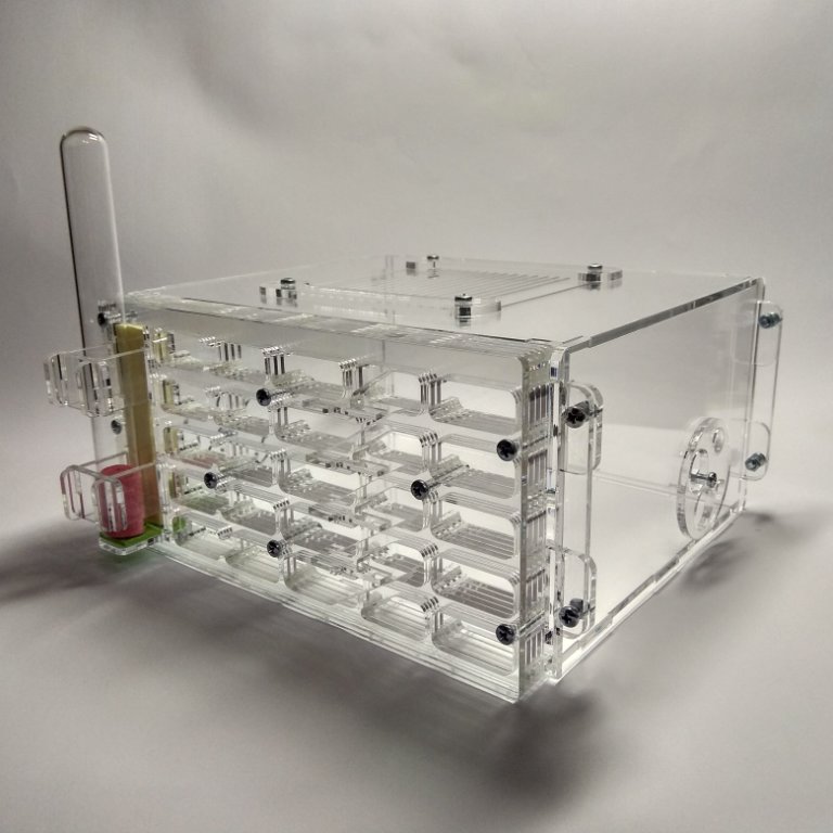 Муравьиная ферма Аполлон-Бионик 2.0 Формикарий