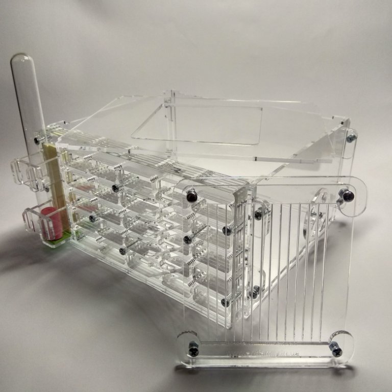 Муравьиная ферма Аполлон-Бионик 2.0 Формикарий