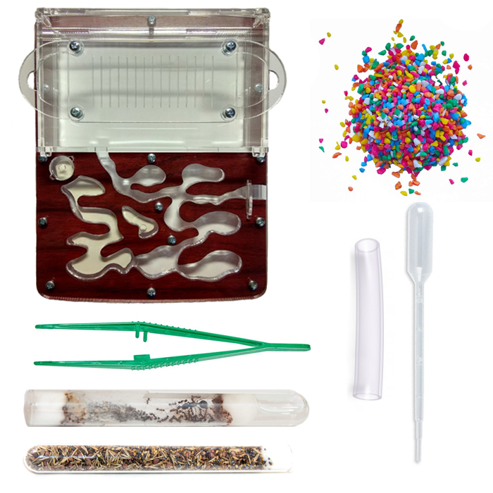 Набор для новичка мини