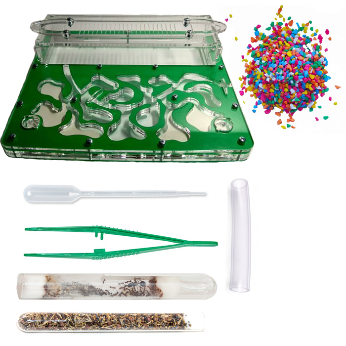 Набор для новичка муравьиная ферма Стандарт