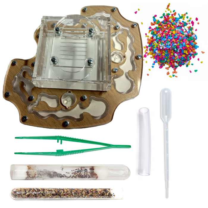 Набор для новичка Муравьиная ферма Райский сад