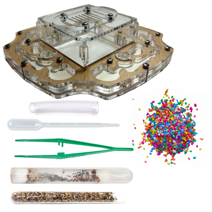 Набор для новичка Муравьиная ферма Райский сад