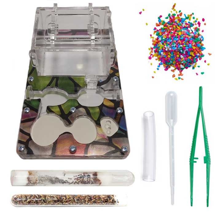 Набор для новичка Муравьиная ферма JUNIOR