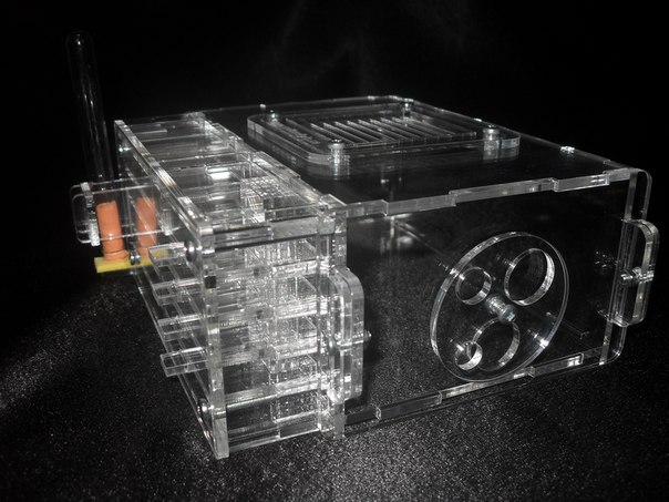 Муравьиная ферма Skiff Формикарий