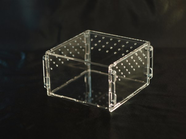 Террариум для паука