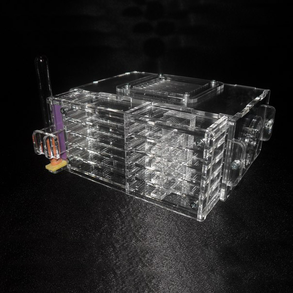 Муравьиная ферма Skiff Формикарий