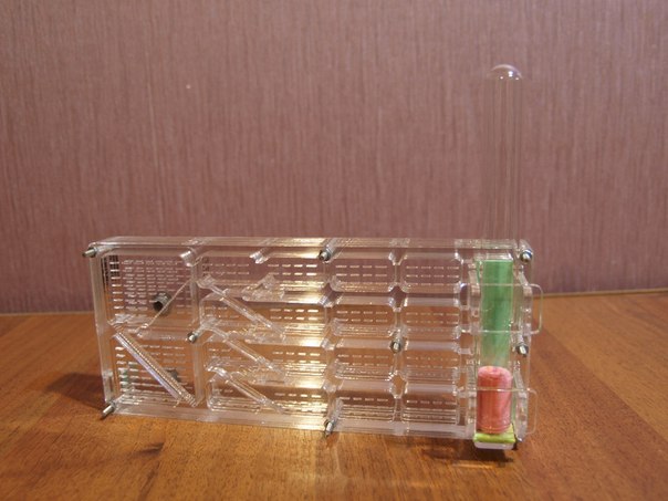 Модульный формикарий Аполлон Бионик