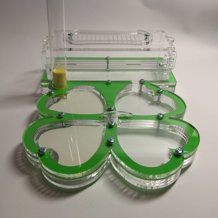 Муравьиная ферма Клевер Формикарий