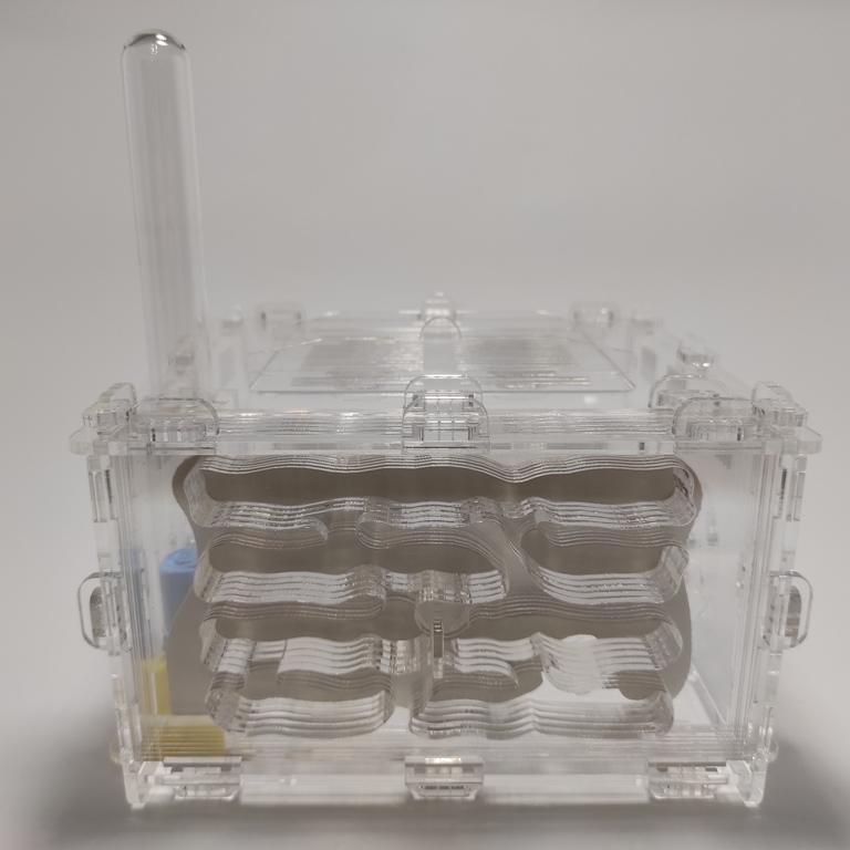 Муравьиная ферма Crystal Белый дом 3.0