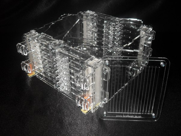 Формикарий Twin+ с двойным гнездом для СУПЕР КОЛОНИИ