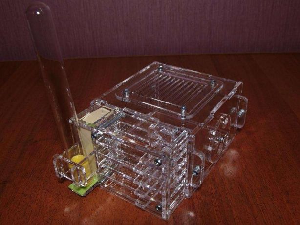 Муравьиная Ферма или формикарий для начальной колонии