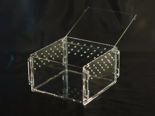 Террариум для паука