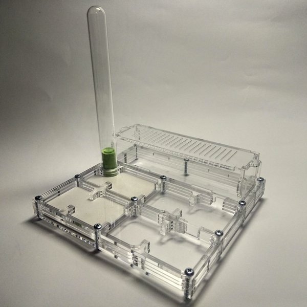 Муравьиная ферма Льдинка Формикарий