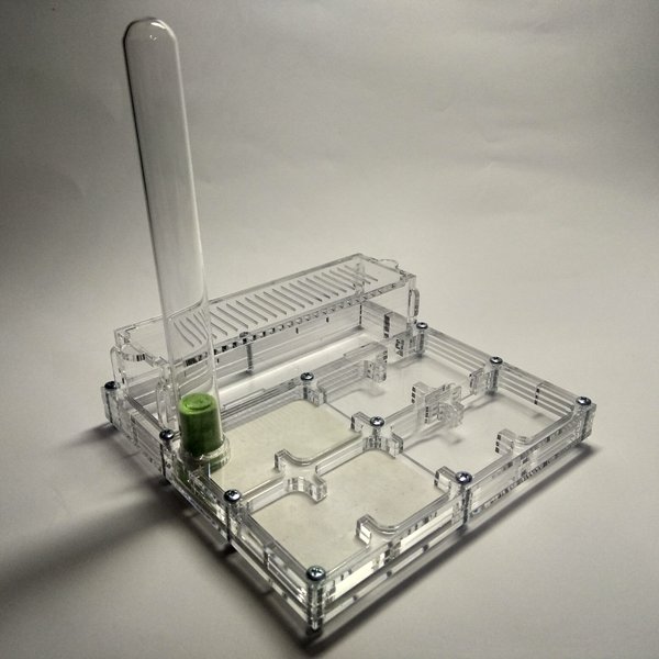 Муравьиная ферма Льдинка Формикарий