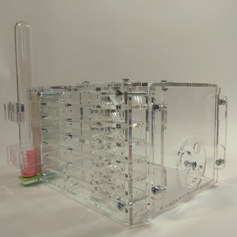 Муравьиная ферма Lorry Формикарий