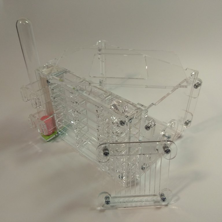 Муравьиная ферма Lorry Формикарий