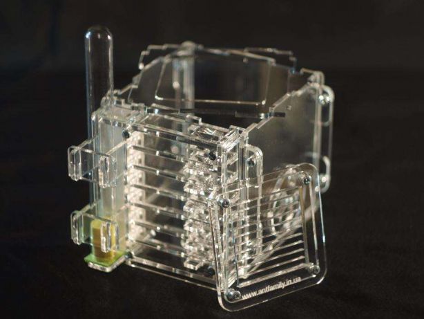 Муравьиная ферма Mini+ Формикарий для начальной колонии