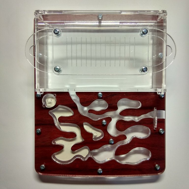 Муравьиная ферма мини темное дерево Формикарий