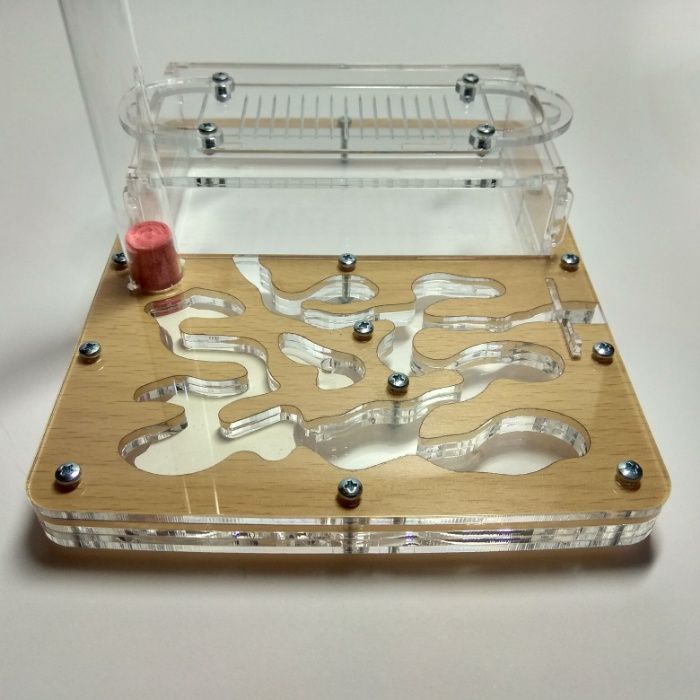 Муравьиная ферма Мини дерево Формикарий