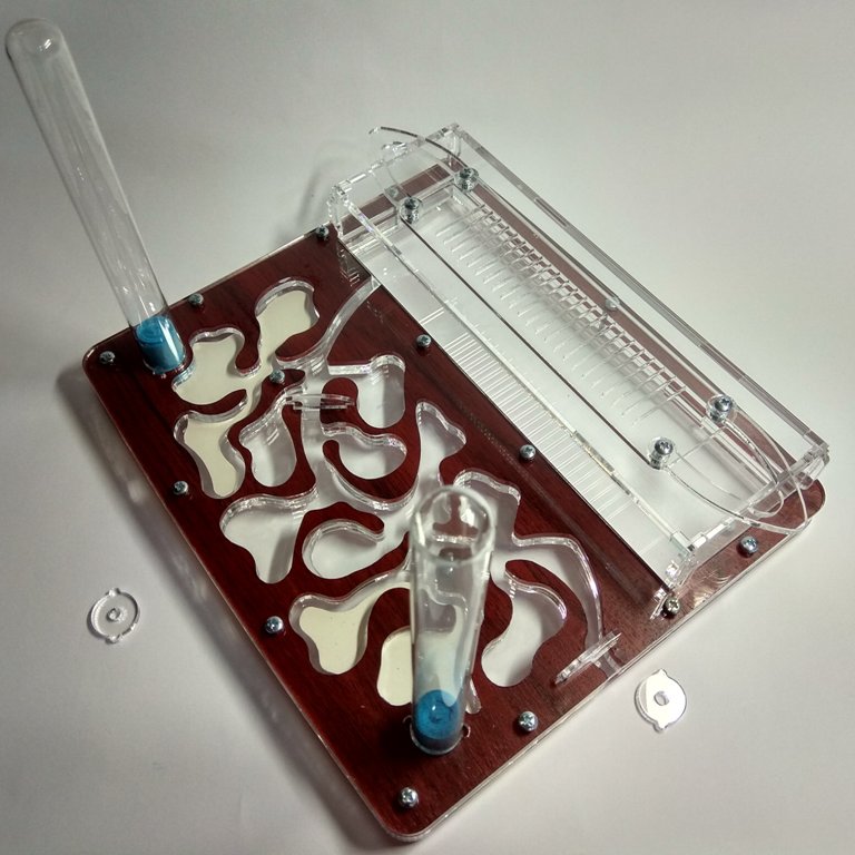 Муравьиная ферма Стандарт темное дерево Формикарий