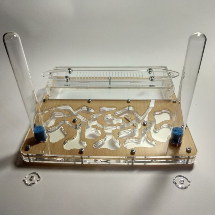 Муравьиная ферма Стандарт дерево Формикарий
