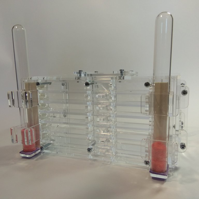 Муравьиная ферма Twin Формикарий