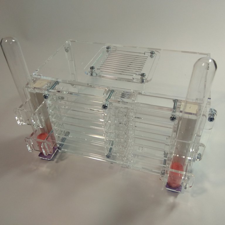 Муравьиная ферма Twin Формикарий