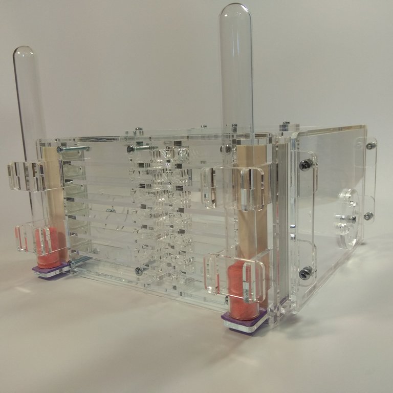 Муравьиная ферма Twin+ Формикарий