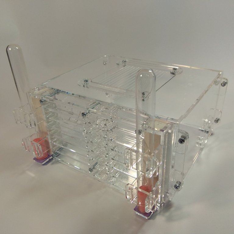 Муравьиная ферма Twin+ Формикарий