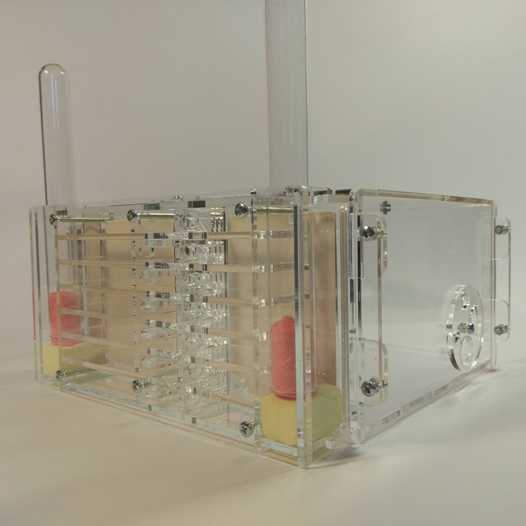 Муравьиная ферма Twin+30мм ГИПС Формикарий