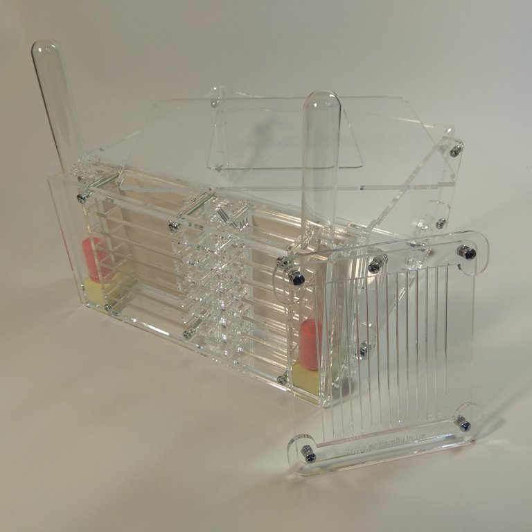 Муравьиная ферма Twin+30мм ГИПС Формикарий