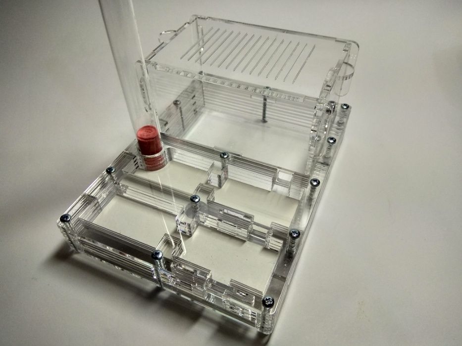 Муравьиная ферма Венатор Формикарий